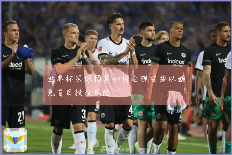 世界杯买球预算如何合理安排以避免盲目投注风险