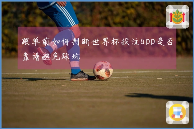 跟单前如何判断世界杯投注app是否靠谱避免踩坑